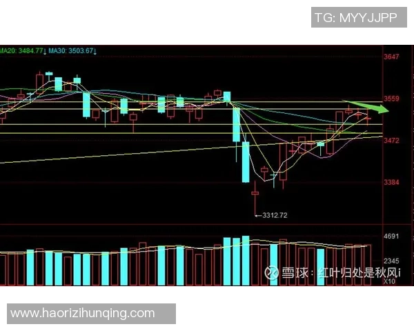 深圳乒乓球队与上海乒乓球队赛后复盘分析比赛节奏与战术对决